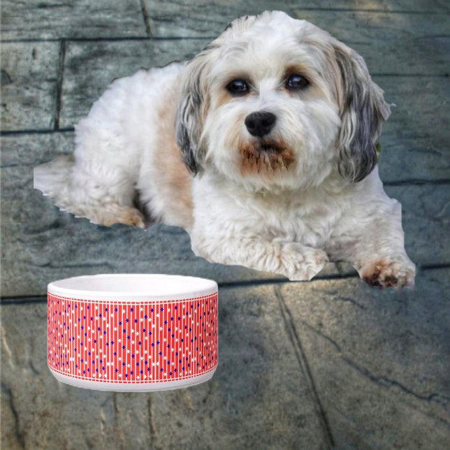 Tigela Bandeiras (Your pet is definitely an American, with the Flag Stripes Pet Bowl!)