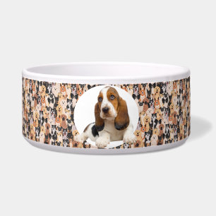 Tigela Basset Hound Personalize Fotografia e Nome Dog Bow