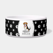 Beagle Estragado Podre (tri color 3) Cachorro Engr