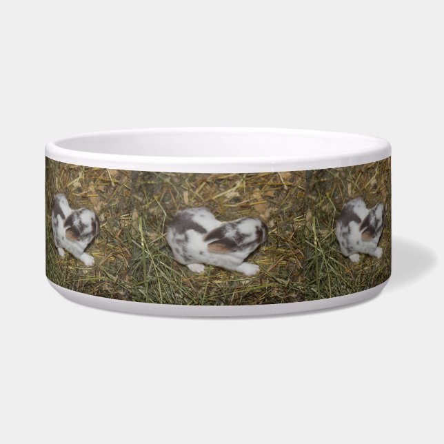 Tigela Bebê (Frente)