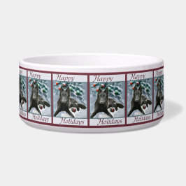 Tigela Belga - Sheepdog Natal