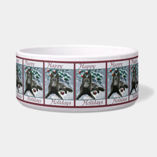 Tigela Belga - Sheepdog Natal