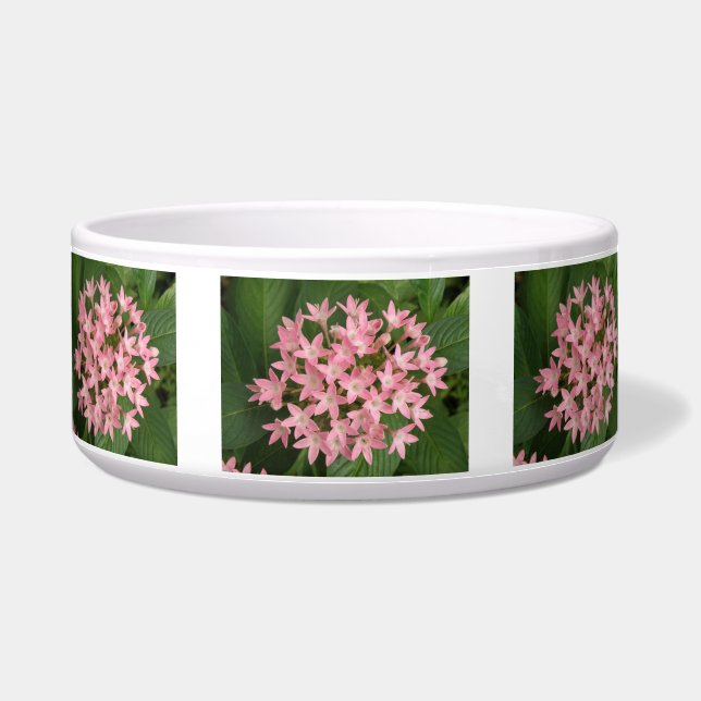 Tigela Boliche de Cachorro Rosa bonito (Frente)