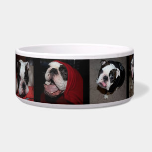 Tigela Boliche Personalizado de Pet Dog de Fotografias