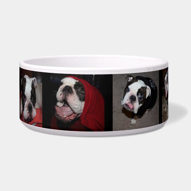 Tigela Boliche Personalizado de Pet Dog de Fotografias (Esquerda)