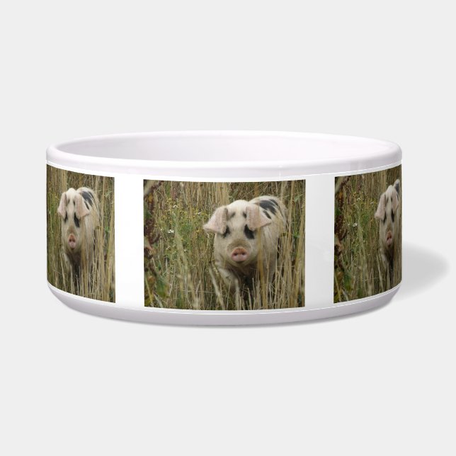 Tigela Bolinho de Porco Bonito (Frente)