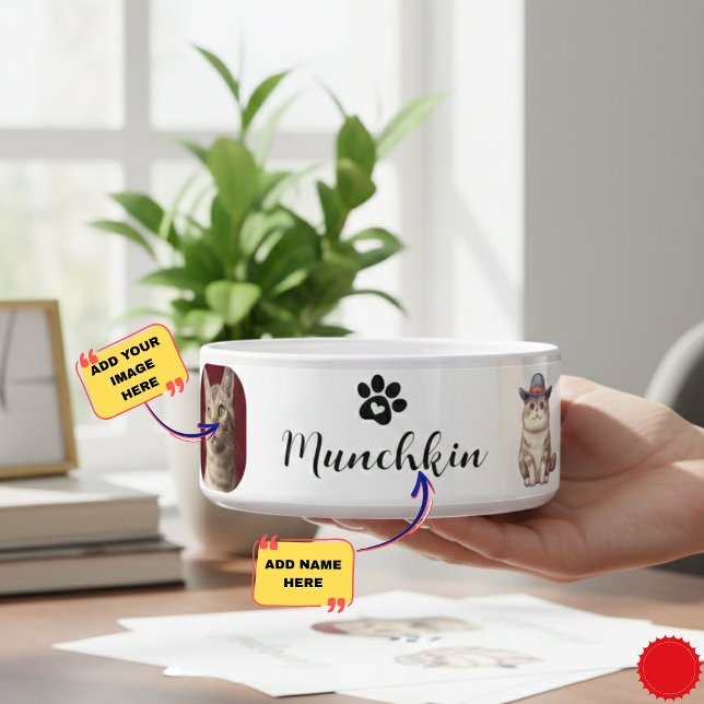 Tigela Bolsa de Gato de Munchkin Personalizada com Design (Custom Munchkin Cat Bowl with Name & Breed Design)