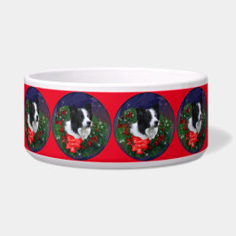 Tigela Border Collie Christmas