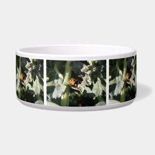 Tigela British 7 Spot Ladybug Dog Bowl