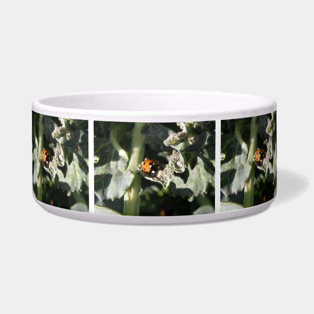 Tigela British 7 Spot Ladybug Dog Bowl (Frente)