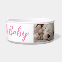 Buldogue Cãozinho Dormindo