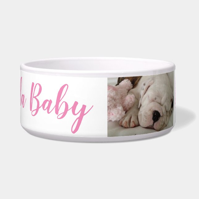 Tigela Buldogue Cãozinho Dormindo (Frente)