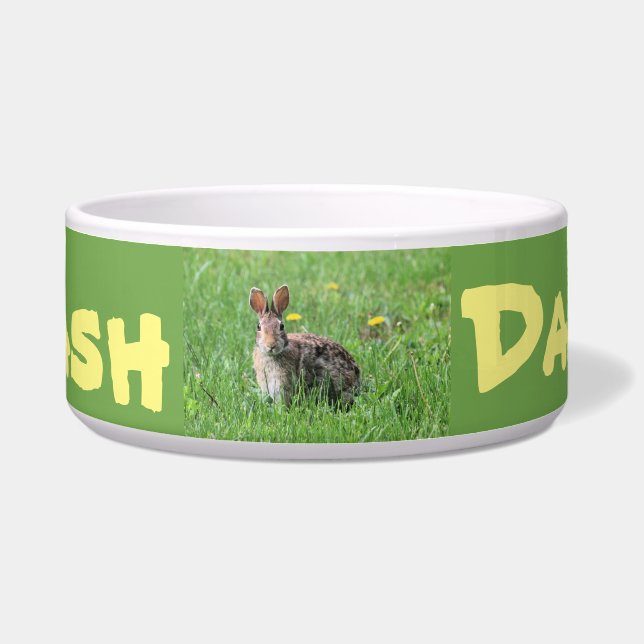 Tigela Bunny (Frente)