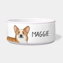 Cabeça de Cão Corgi Galês Vermelho Pembroke e Nome