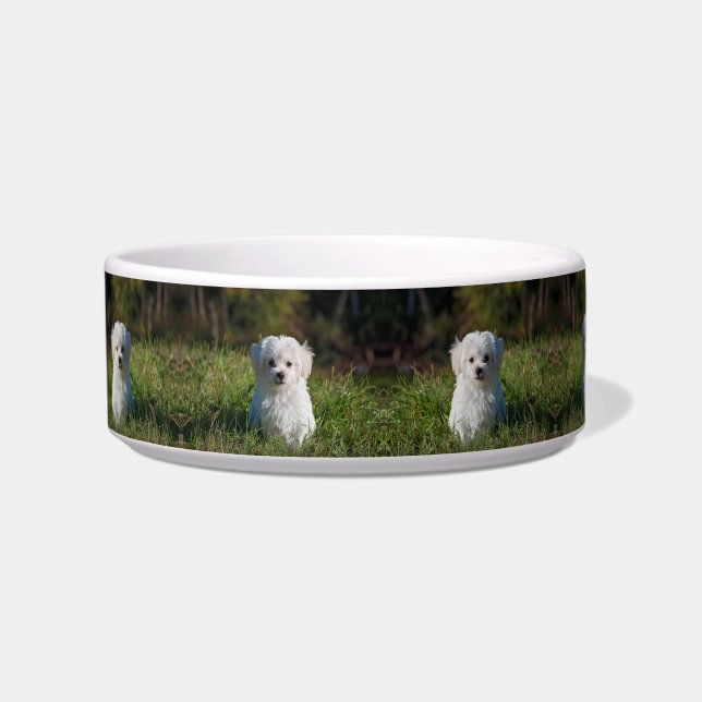 Tigela Cachorrinho branco fofo (Frente)