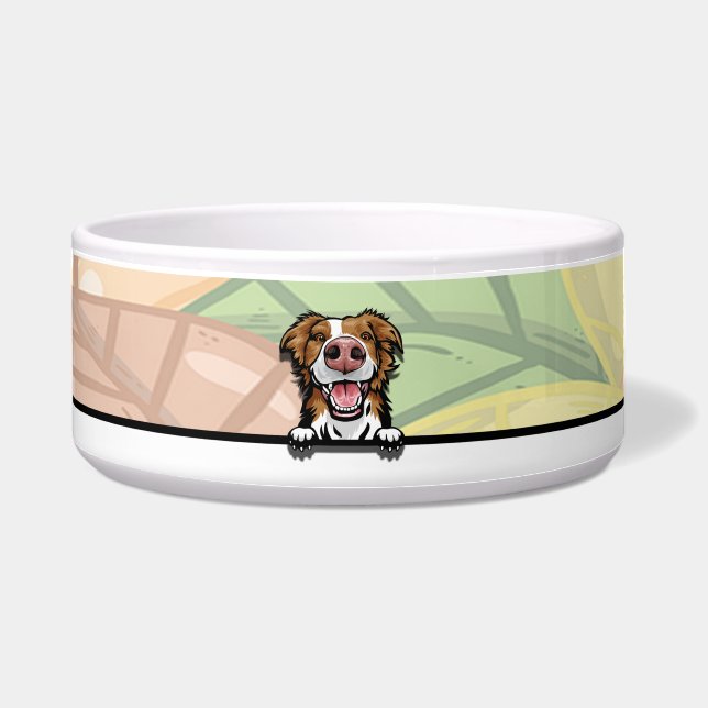 Tigela Cachorro Border Collie Fofo Espiando, comida ou be (Frente)