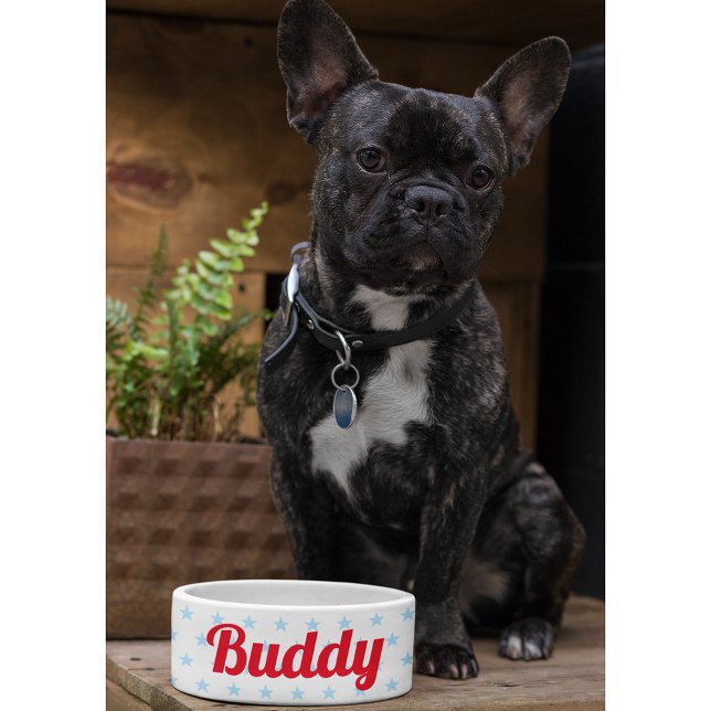 Tigela Cachorro Cachorro Cachorro Cachorro Gatinho Pet No (Cute Dog Puppy Cat Kitty Pet Name Blue Stars Food Bowl)