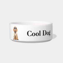 Cachorro de Água com Pet Bowl de Óculos de Sol