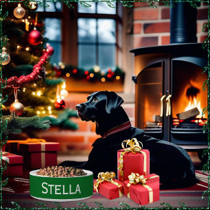 Tigela Cachorro de Gato de Pet Branco Verde Simples e Mod