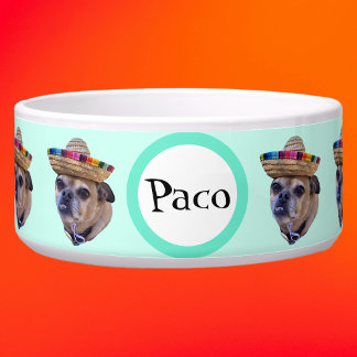 Tigela Cachorro Marrom Face Chug Foto