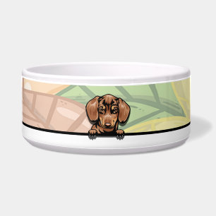 Tigela Cachorro Salsicha Curioso, comida ou bebida