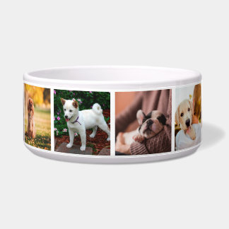 Tigela Cães Cães Instagram Fotos