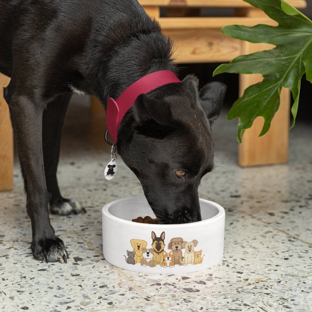 Tigela Cães e Gatos JollyKins (Criador carregado)
