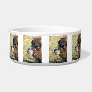 TIGELA CAMELOS
