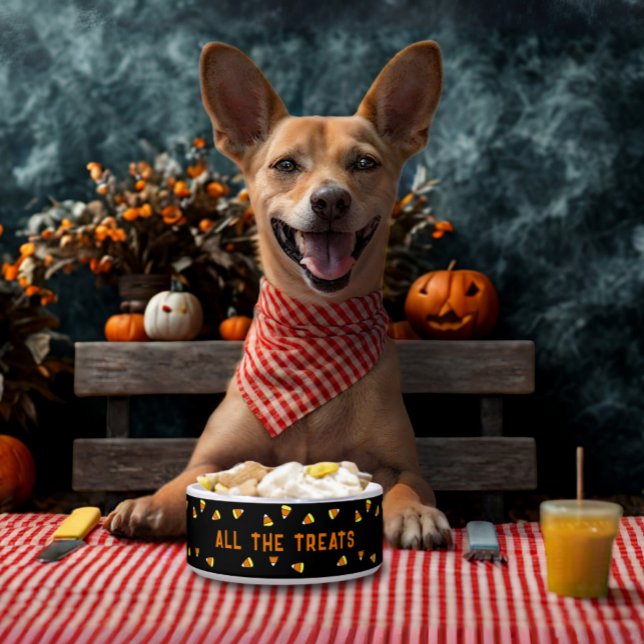 Tigela Candy Corn All Treats Halloween Dog Bowl (A candy corn pattern food bowl for your pet. Let them join in the Howl-oween fun!)