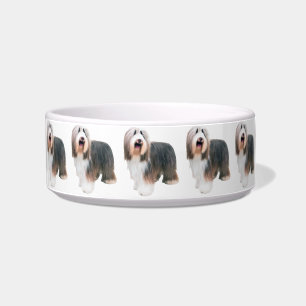 Tigela Cão Collie