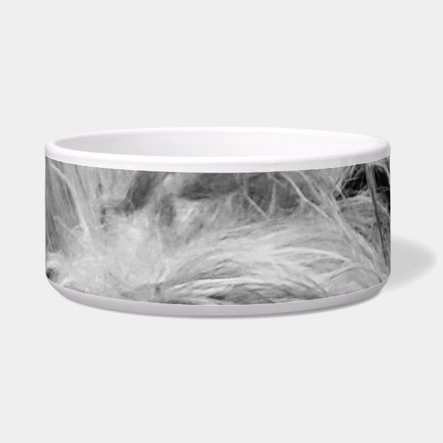 Tigela Cão Coton de Tulear (Frente)