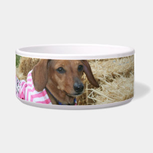 Tigela Cão do Dachshund