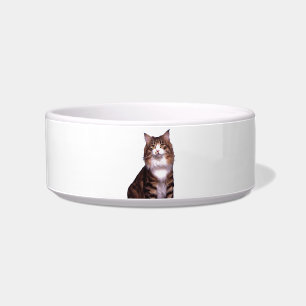 Tigela Cat Pet Bowl