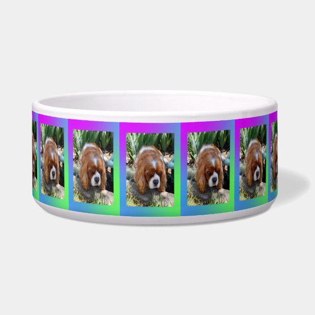 Tigela Cavalier Spaniel Rosto Sooky,   (Frente)