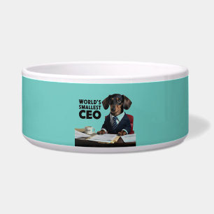 Tigela CEO mais pequeno do mundo, dachshund engraçado e f