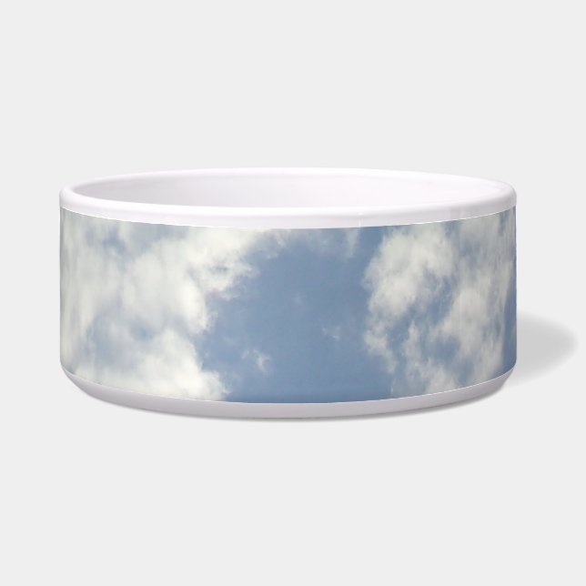 Tigela Ceramic Pet Bowl art style design (Frente)