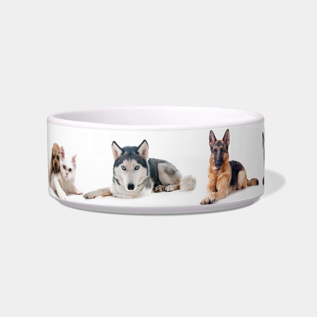 Tigela Cerâmica Ilustrada de Vários Animais Fofos ("Cute Pet Portrait Bowl")