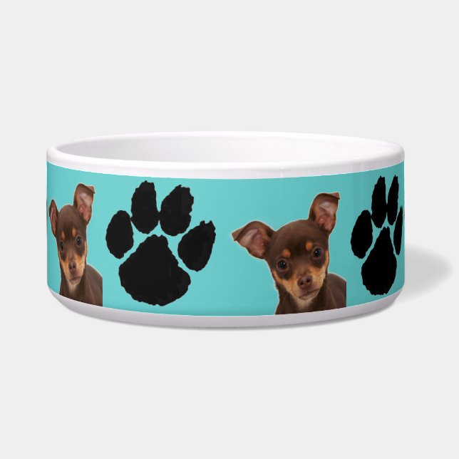 Tigela Chihuahua (Frente)