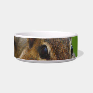 Tigela chipmunk