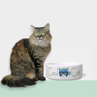 Tigela Cinza Cura Legal Gato Cerâmico Pet Bowl