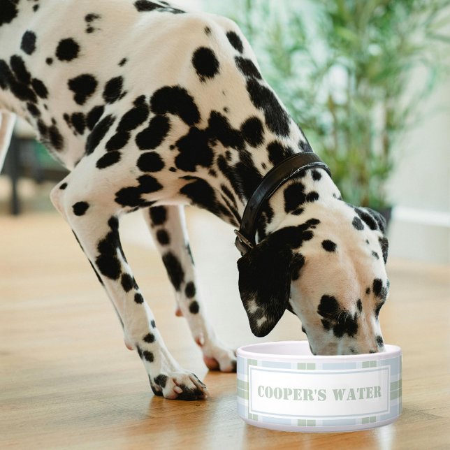 Tigela Classic Blue Green Plaid Pattern Name Dog Water (Criador carregado)