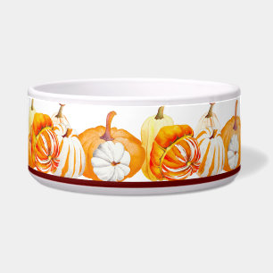 Tigela Colheita de Pumpkin numa Salad Bowl (O)