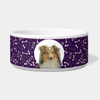 Tigela Collie Personalizado Foto e Nome Dog Bowl