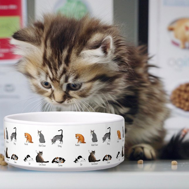 Tigela Comandos Cat (Criador carregado)