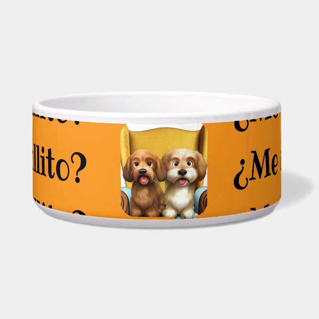 Tigela Comedero con personalidad “Amiguitas Peludas” (Frente)