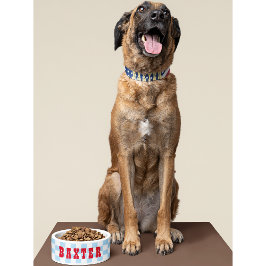 Tigela Comida do Nome do Gato de Cachorro Puppy Checado a