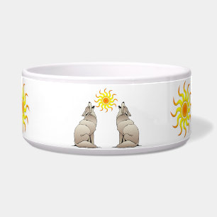 TIGELA COYOTES ABAIXO DE UM SOL SUDESTE