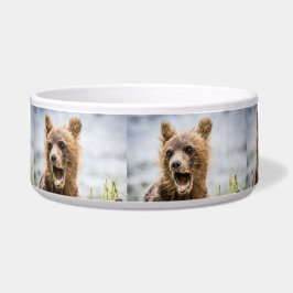 Tigela Cubos Grizzly Procurando Sua Mãe