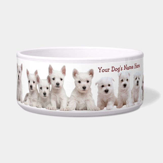 Tigela Cupias Westis Esperando Pacientemente Pela Comida (Frente)