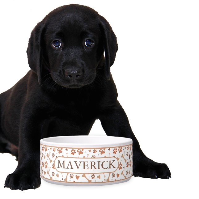 Tigela Custom Paws and Bones (Criador carregado)